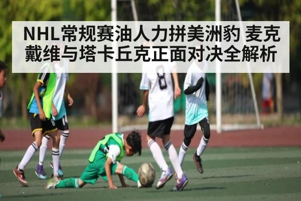 NHL常规赛油人力拼美洲豹 麦克戴维与塔卡丘克正面对决全解析